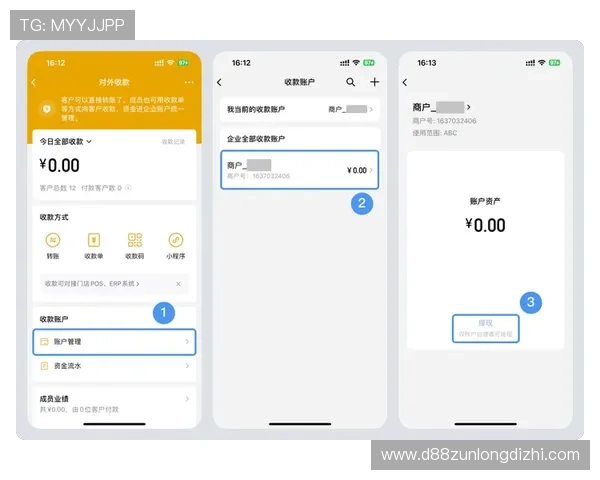 尊龙凯时备用平台多渠道支付方式保障玩家充值提现的便捷与安全